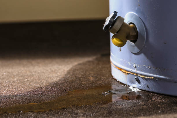 Best Sewage cleanup and water damage restoration  in Rockland, ME