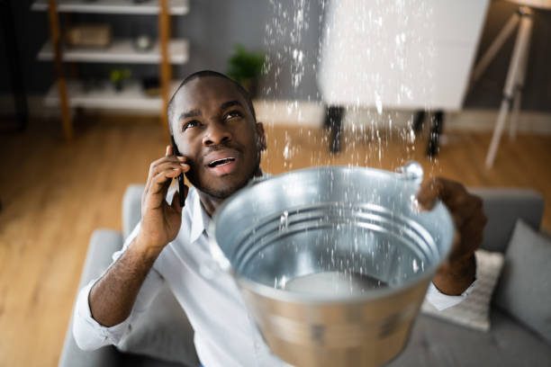 Best Water damage restoration mold remediation  in Rockland, ME