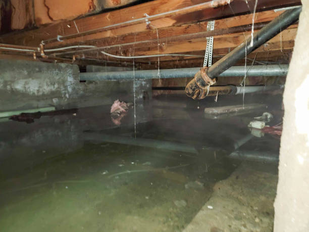 Reliable ME Water damage restoration Solutions