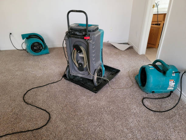 Best Carpet water damage restoration  in Rockland, ME