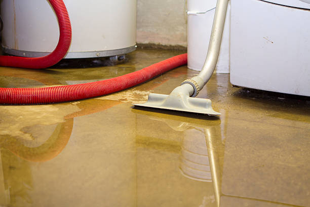 Best Water damage restoration company  in Rockland, ME