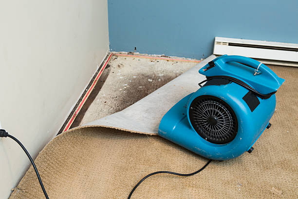 Water damage restoration experts in ME